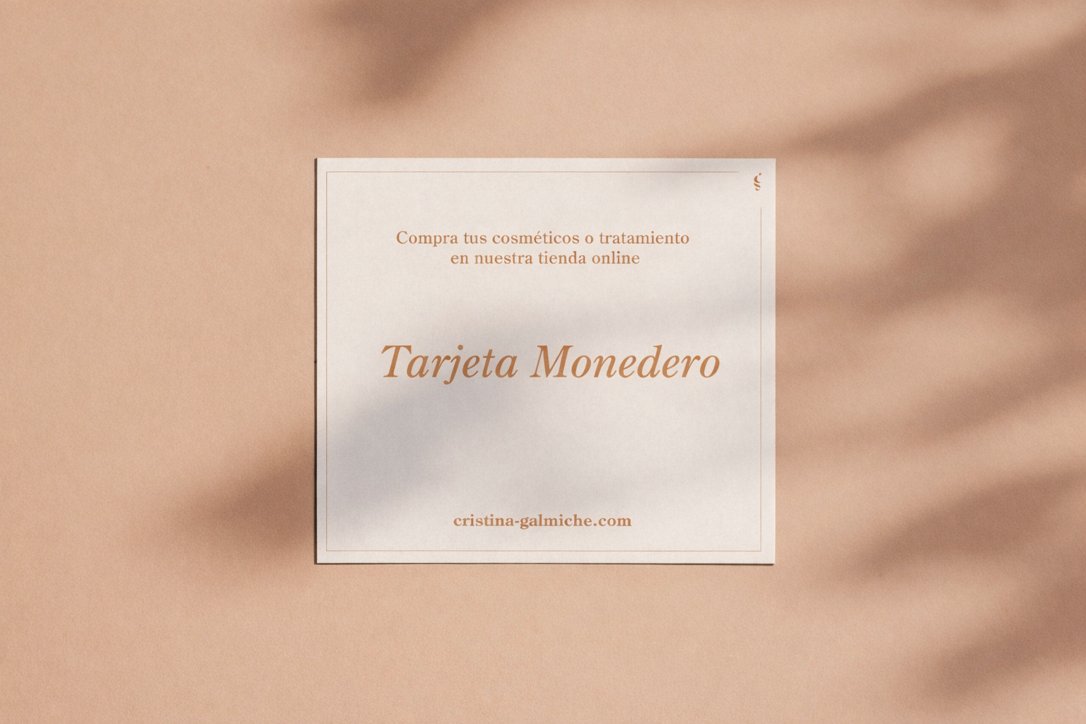 Imagen Tarjeta Monedero